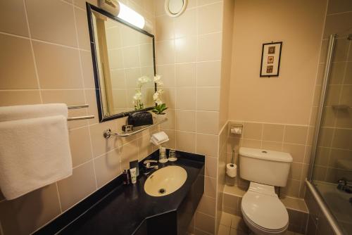 沃特福德沃特福德维京酒店的一间带卫生间、水槽和镜子的浴室