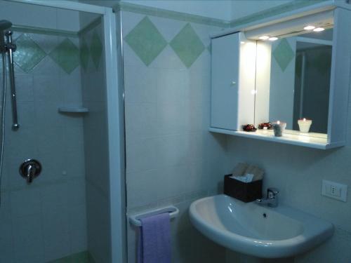 AviaticoLA CASA DEL BORGO的浴室配有盥洗盆和带镜子的淋浴