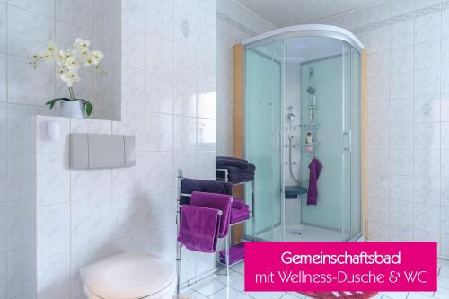 LenzingFerienwohnung Agerblick 3 Zimmer mit Küche, 83m2的浴室设有卫生间和带紫色毛巾的淋浴。