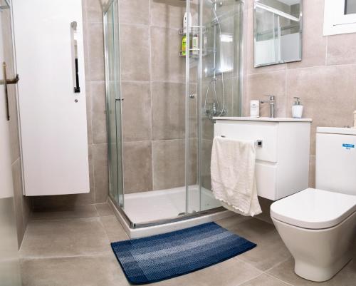 阿依纳帕Annita Court Bock B, Apt3的带淋浴和卫生间的浴室以及蓝色地毯。
