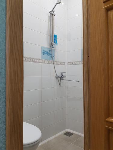 喀琅施塔得Прибой的带淋浴和卫生间的浴室