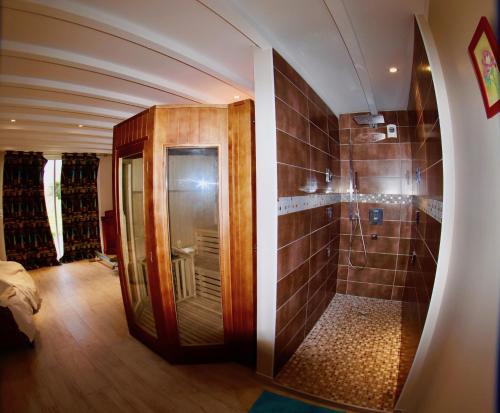 索泰尔纳特里温庄园旅馆的一间带步入式淋浴间的浴室
