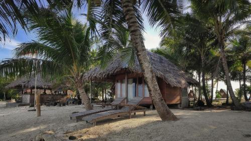 AlabanKimo Resort Pulau Banyak Aceh Singkil的前面有棕榈树的小小屋
