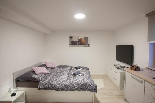 佐尔尼耶戈迪Studio Jan的一间卧室配有一张床和一台平面电视