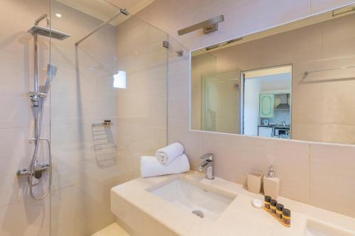 达西亚Ziogas Luxury Apartments的一间带水槽、淋浴和镜子的浴室