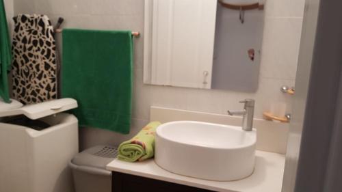 托雷德尔马尔vistas al mar的浴室设有水槽和绿色的淋浴帘