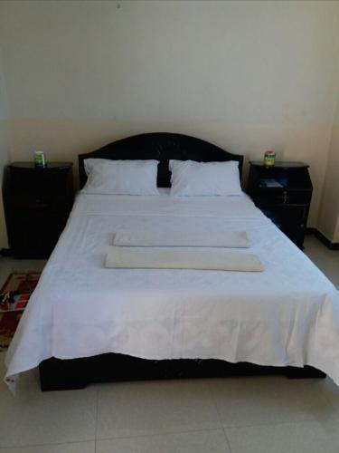 阿克苏姆Hotel Delina Aksum的一张配有白色床单和枕头的大床