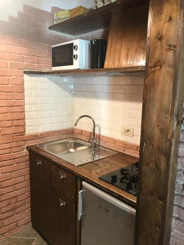 NeCà di Gatti Guesthouse的一间带水槽和微波炉的小厨房