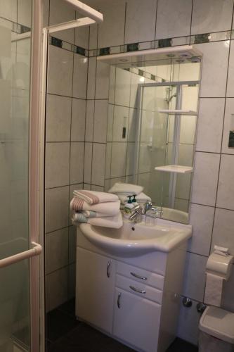霍夫斯特滕Obermerkenbergerhof的一间带水槽、淋浴和镜子的浴室