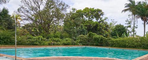 卡宴Appartements Cayenne Standing的一座树木环绕的游泳池