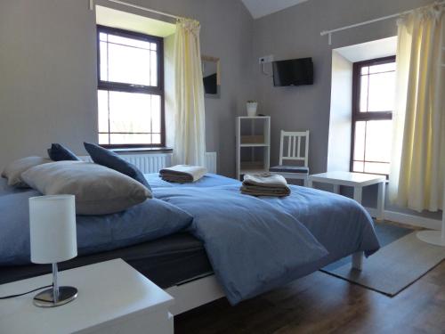 巴利纳莫尔Garadice View Farm House的一间卧室设有蓝色的床和2个窗户。