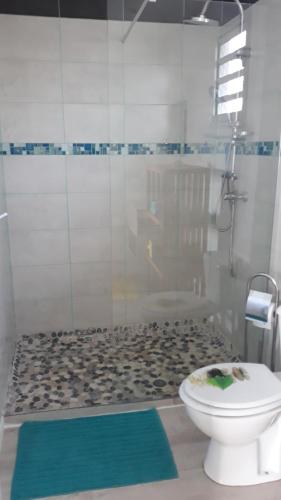 莱昂斯-达赫雷bel ti kay的带淋浴、卫生间和玻璃门的浴室