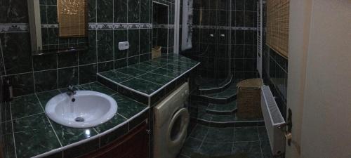 BeláHoliday Home Mia的绿色瓷砖浴室设有水槽和洗衣机