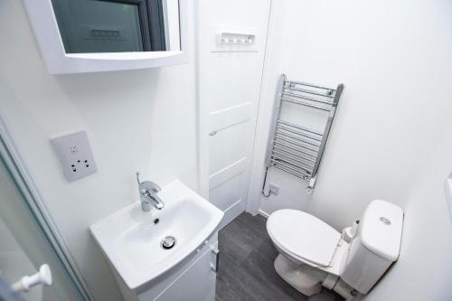 因弗内斯A UNIQUE Experience in a Converted Shipping Containers, Glamness is Adults Only的白色的浴室设有卫生间和水槽。