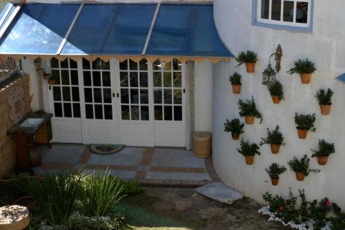 CristinaPOUSADA CASARÃO NORONHA KAUAGE的蓝色遮阳篷和盆栽植物的房子