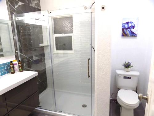 圣地亚哥卡萨圣地亚哥公寓的带淋浴、卫生间和盥洗盆的浴室