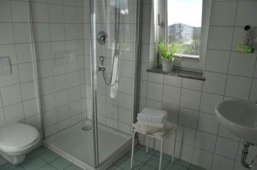 WanderslebenPension Freudenthal的带淋浴、卫生间和盥洗盆的浴室