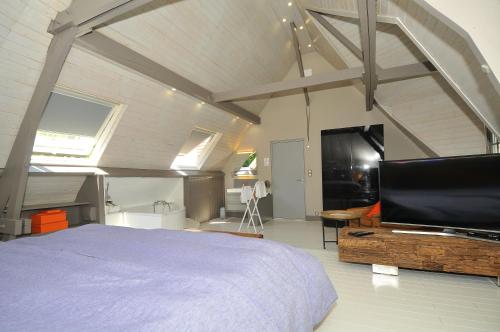 勒图凯-巴黎普拉日So Touquet的一间卧室配有一张床和一台平面电视