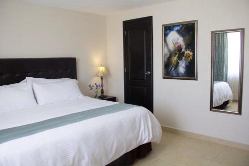 奇格纳瓦潘Hotel Nube Nueve的卧室配有一张白色大床和镜子