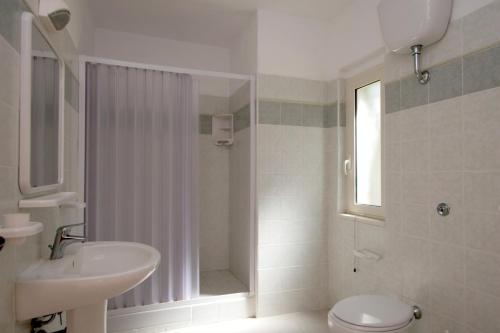 维耶斯泰Residence Delfino的一间带水槽、卫生间和淋浴的浴室