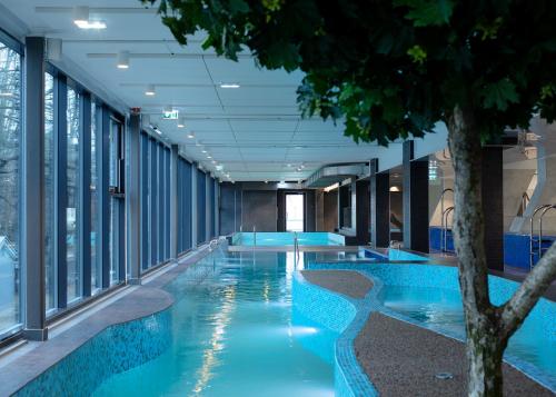 塔林卡尔沃温泉酒店&水上乐园的一座建筑物的游泳池,中间有一棵树