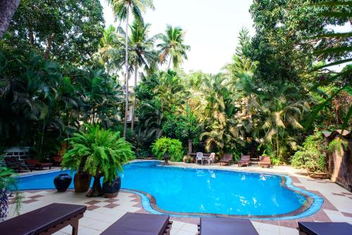 巴加Bellflower Alidia Beach Resort的棕榈树度假村内的游泳池