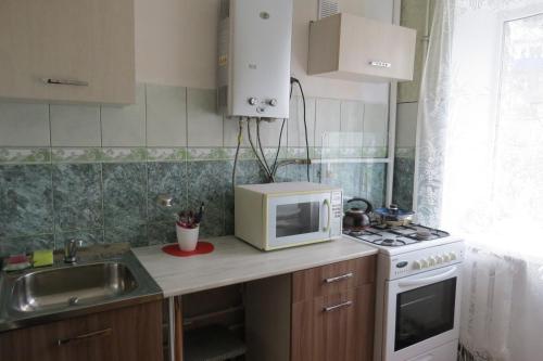热列兹诺沃德斯克Apartment on Lenina的厨房配有微波炉、炉灶和水槽。