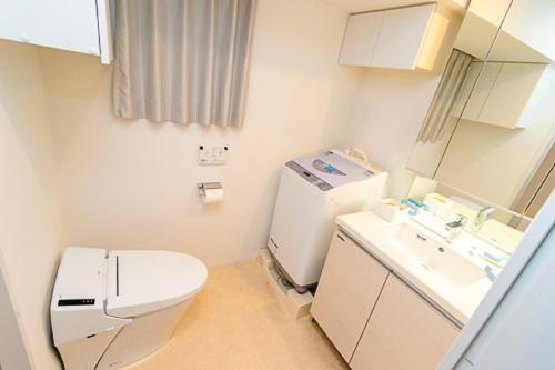 东京Oakwood Apartments Minami Azabu的一间带卫生间和水槽的小浴室