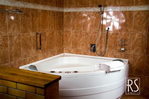 乔左维尔考普尔斯基Hotel Azyl的带浴缸的浴室