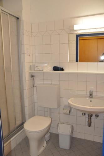 林茨科尔平林茨旅舍的一间带卫生间和水槽的浴室