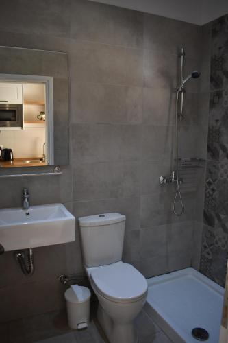 圣佐治欧斯帕贡Patras Studio的浴室配有卫生间、盥洗盆和淋浴。
