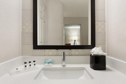 密歇根城密歇根江山旅馆及套房酒店的一间带水槽和镜子的浴室