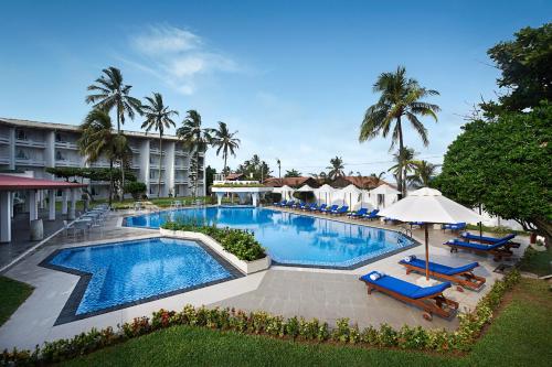 拉维尼亚山科伦坡成功酒店的度假村的游泳池,配有椅子和遮阳伞
