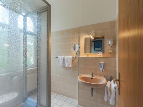 巴特萨罗皮斯库夫Hotel Villa Raueneck的一间带水槽和淋浴的浴室