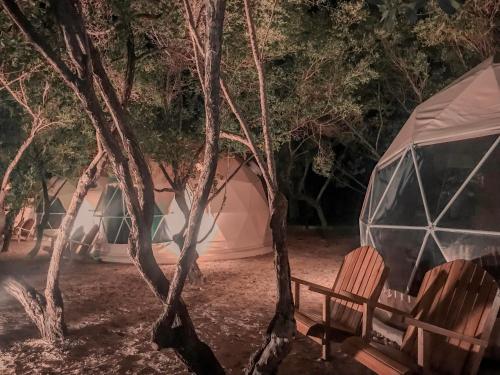 锡基霍尔Aquamare Beach Camp Resort的几个晚上在树林里的帐篷