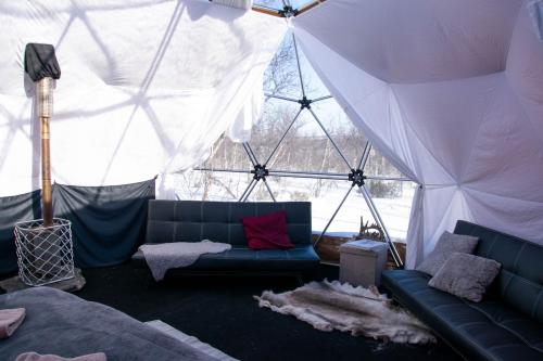基律纳Aurora Dome的带沙发的客厅(位于帐篷内)