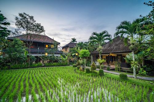 乌布Bliss Ubud Spa Resort的花园,位于带田野的房屋前