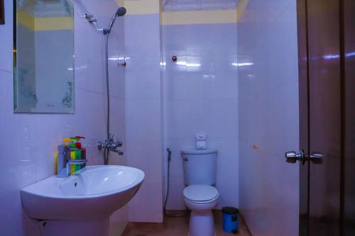 暹粒欧卡1别墅酒店的一间带水槽、卫生间和淋浴的浴室