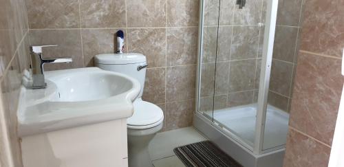 马盖特The Homestead Margate - South Africa的浴室配有卫生间、盥洗盆和淋浴。