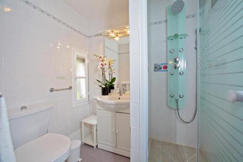 勒比格Logis Hôtel Le Cygne的带淋浴、卫生间和盥洗盆的浴室