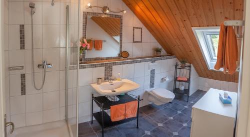 罗勒Domaine Beauregard的一间带水槽、淋浴和卫生间的浴室