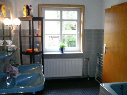 维岑多夫Riggers Hof的一间带水槽和窗户的浴室