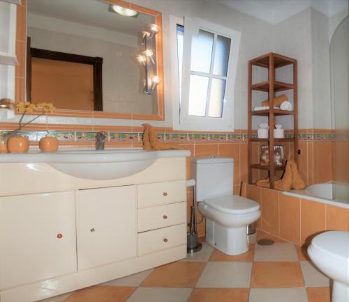 圣米格尔德阿沃纳Bed & Breakfast Tenerife的一间带水槽、卫生间和镜子的浴室