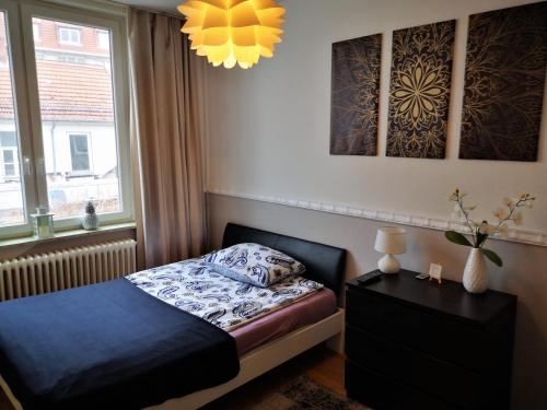 哥廷根City Apartments的一间小卧室,配有床和窗户