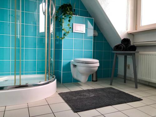 赞德沃特奥德赛民宿的一间带卫生间的浴室和蓝色瓷砖墙