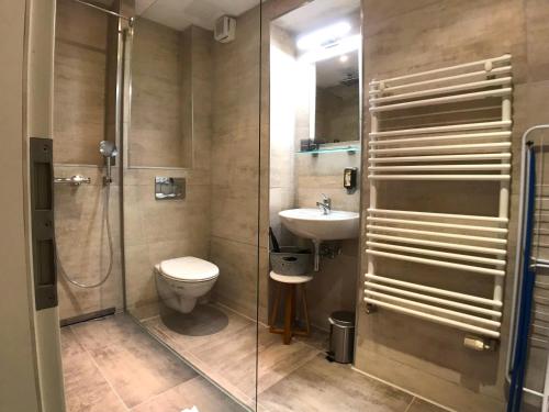 波茨坦Amaroo - Apartments Potsdam “Alexandrowka”的带淋浴、卫生间和盥洗盆的浴室