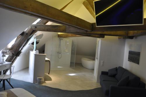塞纳河畔巴尔Les Tonnelles的带沙发的客厅和浴室。
