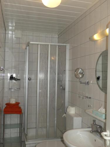 特里滕海姆Weingut & Gästehaus Edwin Hoffmann的带淋浴和盥洗盆的浴室