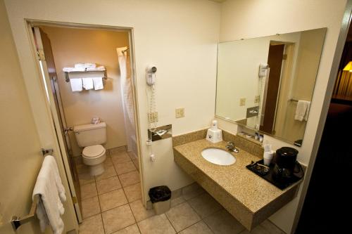 罗斯福Americas Best Value Inn Roosevelt/Ballard的一间带水槽、卫生间和镜子的浴室