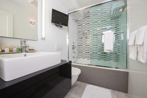 卡姆登卡姆登港口瑞莱斯城堡酒店的一间带水槽、卫生间和淋浴的浴室